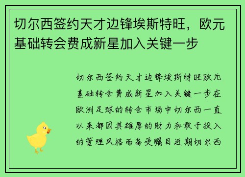 切尔西签约天才边锋埃斯特旺，欧元基础转会费成新星加入关键一步